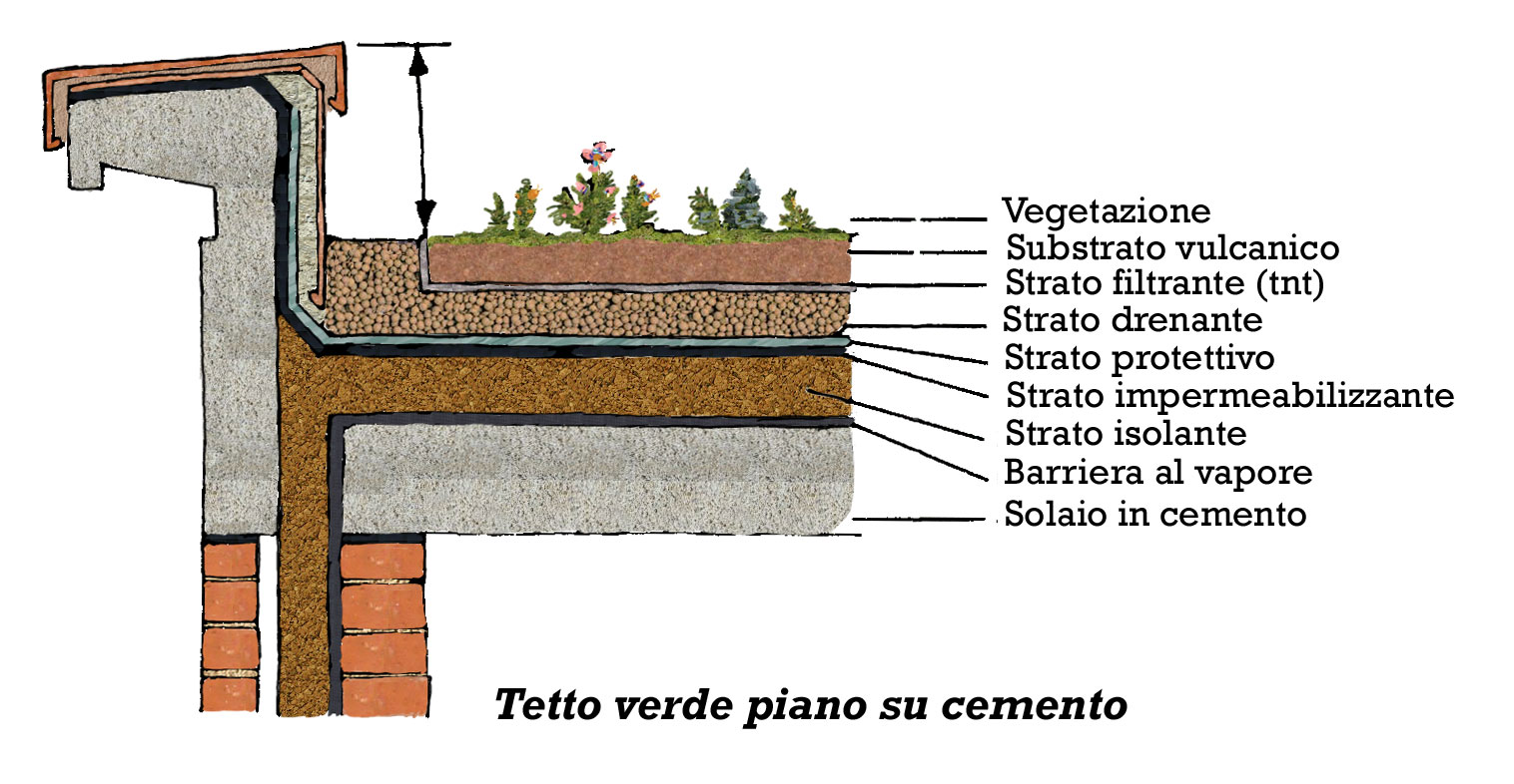 Tetti piani green estudio de proyectos edilicios consultora de ... Coperture per tetti piani